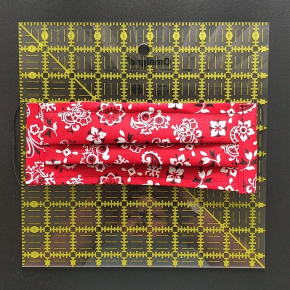 Face Mask - Picture 4 of 4